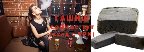 гидра Абаза