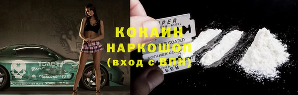 гидра Абаза