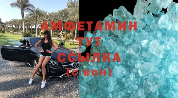 гидра Абаза