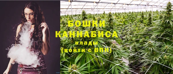 гидра Абаза