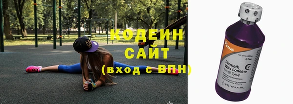 гидра Абаза